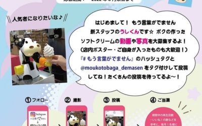 ✨＼もう言葉がでま選手権／✨