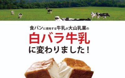 「もうコト食パン」がリニューアル🍞